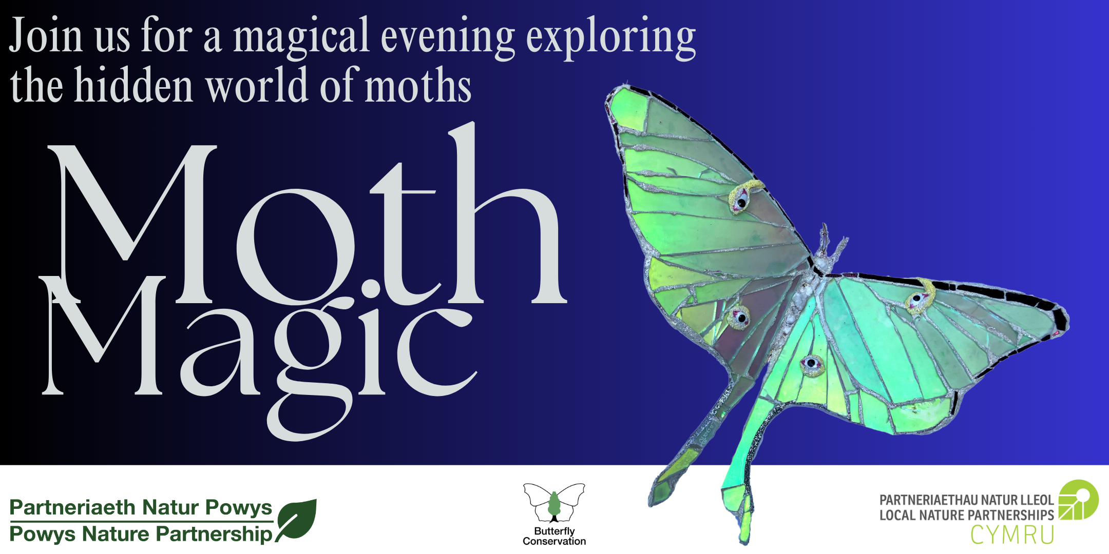 🦋 Discover the Nightlife of Berriew! 💫